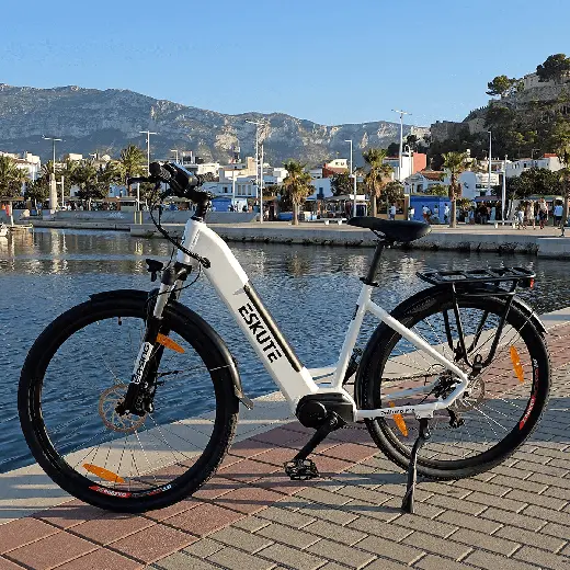 Ebike