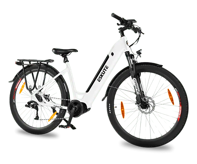 Electric Bike